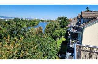 Haus kaufen in Mainblick 13, 65451 Kelsterbach, Living on the Waterfront: Modernes Design trifft Main-Panorama