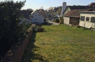 Grundstück zu kaufen in Klosterstrasse, 76476 Bischweier, Bauplatz 999 m², variable Bebauung möglich, da kein amtl. Bebauungsplan vorliegt / evtl. teilbar