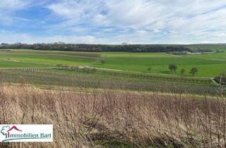 Grundstück zu kaufen in 54457 Wincheringen, DIREKTE GRENZE LUXEMBURG: 13 AR AUF MONT