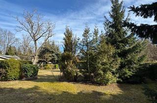 Grundstück zu kaufen in Blachfeld, 14532 Kleinmachnow, PROVISIONSFREI Sonnengrundstück Südlage