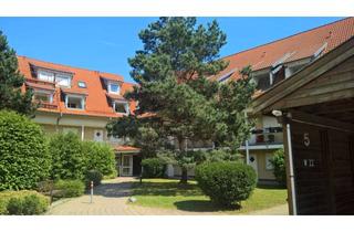 Wohnung mieten in Altshauser Straße 15, 88371 Ebersbach-Musbach, Gepflegte 2 Zimmer Wohnung 71 m² NFL, Barrierefrei ,Balkon, Südlage, Lift, 1. OG