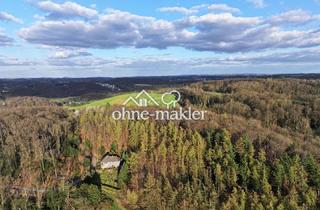 Einfamilienhaus kaufen in 45527 Hattingen, Freistehendes Einfamilienhaus in Alleinlage mit Panoramablick im Wald