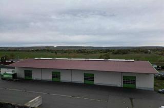 Büro zu mieten in Bahnhofstraße 10, 99189 Walschleben, Vermiete Hochregallagerhalle/Produktionshalle mit Bürogebäude in Walschleben bei Erfurt