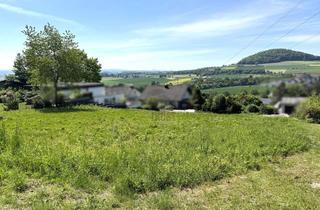 Grundstück zu kaufen in 36100 Petersberg, IDEAL FÜR NATURLIEBHABER! WEITBLICK GARANTIERT - MIT GUTER ANBINDUNG