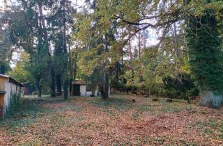 Grundstück zu kaufen in 14621 Schönwalde-Glien, Von Privat im Speckgürtel von Berlin bauträgerfreies Baugrundstück provisionsfrei