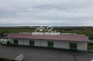 Büro zu mieten in Bahnhofstraße 10, 99189 Walschleben, Vermiete Hochregallagerhalle/Produktionshalle mit Bürogebäude in Walschleben bei Erfurt