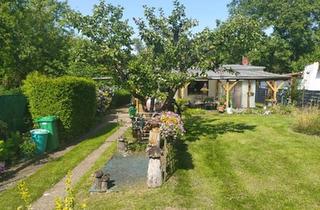 Haus kaufen in 14947 Nuthe-Urstromtal, Nuthe-Urstromtal - Bungalow, Garten, Eigentum