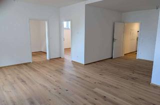Wohnung mieten in Stadtgasse 20, 87727 Babenhausen, Exklusive 3-Zimmer EG-Wohnung – Erstbezug mit hochwertiger Ausstattung & West-Terrasse