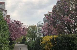 Wohnung mieten in 65824 Schwalbach, PROVISIONSFREI: Helle und zentrale 3-Zimmer Wohnung mit Kamin in Schwalbach!