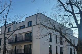 Penthouse mieten in Tulpenhofstr., 63067 Kaiserlei, Modernes 3-Zimmer Penthouse mit Dachterasse und Einbauküche