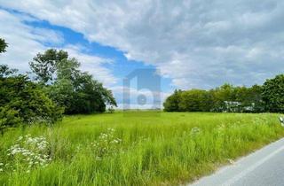 Grundstück zu kaufen in 25764 Wesselburenerkoog, LEBEN IN DER NATUR AN DER NORDSEEKÜSTE