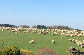 Anlageobjekt in 82319 Starnberg, Landwirtschaftlicher Grund und Waldfläche in Perchting