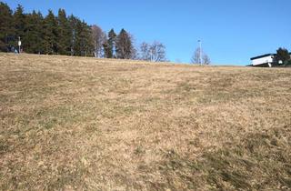 Grundstück zu kaufen in Tannenweg Flurgrundstück 1, 78112 St. Georgen, Bauplatz in exzellenter Lage