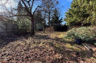 Grundstück zu kaufen in 14476 Groß Glienicke, SELTENE sonnige 500 m² in Ortskernlage