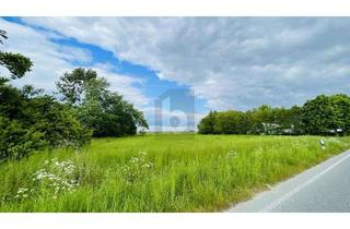 Grundstück zu kaufen in 25764 Wesselburenerkoog, LEBEN IN DER NATUR AN DER NORDSEEKÜSTE