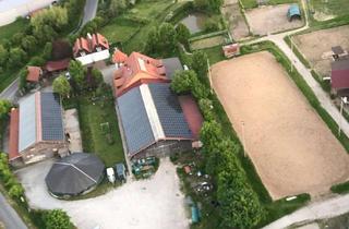 Gewerbeimmobilie mieten in Zur Schirmeiche, 97357 Prichsenstadt, Kompletter Pferdestall für 2000 € im Monat