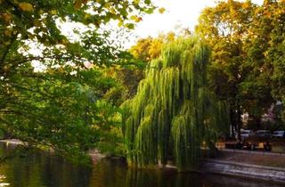 Wohnung kaufen in 10999 Kreuzberg, Urban Living. Family Feeling.