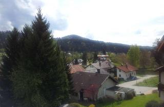 Wohnung kaufen in 94249 Bodenmais, Attraktive, zentrale Zwei-Zimmer-Wohnung mit Südausblick auf den Silberberg in Bodenmais