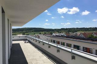 Penthouse mieten in Nelkenstraße 60, 71272 Renningen, Penthouse-Wohnung in Aussichtslage, 2 Zimmer mit gehobener Innenausstattung in Renningen