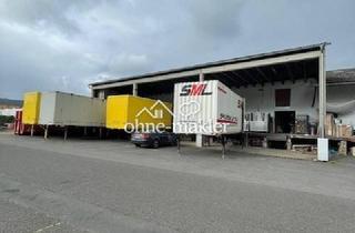 Gewerbeimmobilie mieten in 63911 Klingenberg, Lagerfläche in größerer Halle