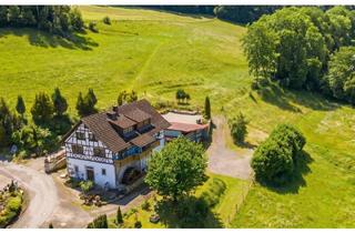Haus kaufen in 79780 Stühlingen, Historisches Mühlengebäude mit viel Nutzfläche - Halle mit Hebekran - ideal für Handwerker