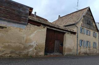 Einfamilienhaus kaufen in 55578 Wallertheim, Wallertheim - Denkmalgeschütztes Einfamilienhaus