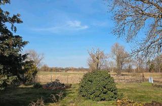 Einfamilienhaus kaufen in 04862 Mockrehna, Mockrehna - Sanierungsbedürftiges Einfamilienhaus in Strelln