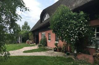 Bauernhaus kaufen in 17217 Penzlin, Bauernhaus, Landhaus in Penzlin