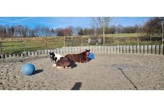 Haus kaufen in 94327 Bogen, Bogen - Ein Stück vom Paradies für Menschen + Pferde + Hunde