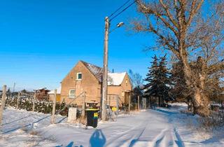 Haus kaufen in 06925 Annaburg, Annaburg - Haus zu verkaufen