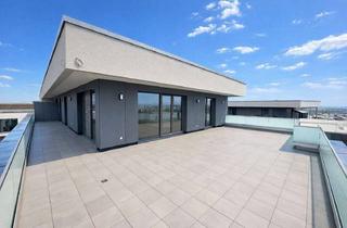 Penthouse kaufen in Luise-Kämpf-Straße 12, 74321 Bietigheim-Bissingen, Exklusive Penthousewohnung mit traumhafter Dachterrasse in Bietigheim-Bissingen