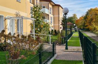 Wohnung mieten in Elbestraße 63, 15370 Petershagen, Energieinsel Petershagen - Wohnen in entspannter Atmosphäre! 2 Zimmer-Terrassenwohnung = 74 qm!