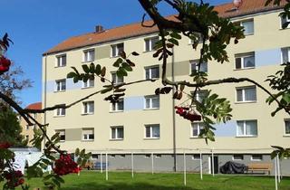 Wohnung mieten in Ohorner Weg, 01900 Großröhrsdorf, Klein aber fein! Ideale Single-Wohnung