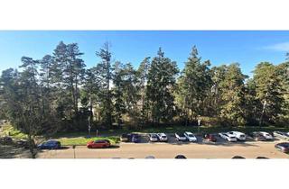 WG-Zimmer mieten in 76139 Waldstadt, WG-Zimmer in frisch sanierter Wohnung