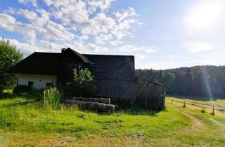 Bauernhaus kaufen in 94545 Hohenau, Idylle pur! Bauernhaus sucht Handwerker!