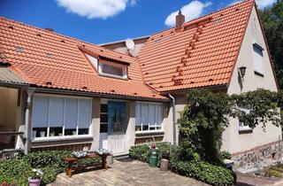 Einfamilienhaus kaufen in 06889 Lutherstadt Wittenberg, Großes ruhig gelegenes Einfamilienhaus in Lutherstadt Wittenberg