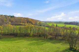 Einfamilienhaus kaufen in 01796 Pirna, Wohnen, wo andere Urlaub machen - Einfamilienhaus in Traumlage von Pirna