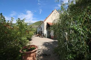 Einfamilienhaus kaufen in 76857 Wernersberg, Einfamilienhaus mit Scheune, Garage und großem Garten