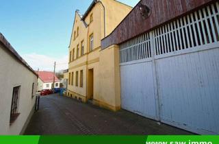 Haus kaufen in 06425 Plötzkau, Keine Käuferprovision – Sanierungsobjekt mit Innenhof, Scheune und Nebengebäuden