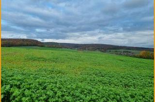 Grundstück zu kaufen in 34596 Bad Zwesten, SICHERN SIE SICH JETZT IHREN PLATZ IM NEUBAUGEBIET! KEINE KÄUFERPROVISION!