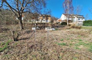 Grundstück zu kaufen in Lammetal, 31162 Bad Salzdetfurth, Bad Salzdetfurth - Großes Baugrundstück mit Hanglage - erschlossen