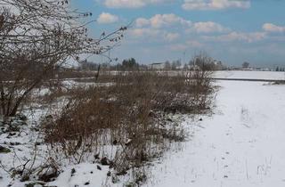 Haus kaufen in 04774 Dahlen, - AUKTION 19.03.2026 - Neu planen statt alt renovieren: Baugrundstück (voll erschlossen)