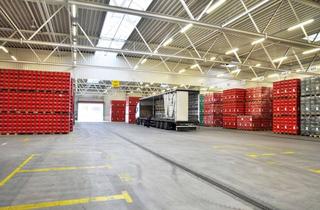 Gewerbeimmobilie mieten in 68766 Hockenheim, Produktions- und Logistikliegenschaft mit ebenerdigen Toren