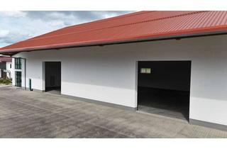 Büro zu mieten in 85469 Walpertskirchen, Hochwertige Lagerhalle mit Bürotrakt in der Nähe von Erding zu vermieten!