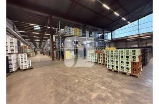 Büro zu mieten in 22113 Billstedt, ab ca. 2.771 m² - ca. 5.701 m² Lager-/Logistikflächen mit integrierten Büroflächen