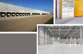 Gewerbeimmobilie mieten in 30880 Laatzen, ! Günstige, einfache Lagerflächen ☆ ca. 20.000 m² ☆ flexible Laufzeiten ☆ keine Provision !