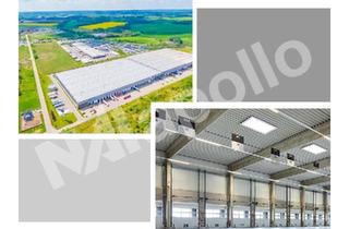 Gewerbeimmobilie mieten in 55268 Nieder-Olm, ! Keine Provision ☆ kurzfristig verfügbar ☆ ausreichend Rampentore ☆ jetzt informieren !