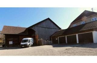 Grundstück zu kaufen in 87656 Germaringen, ** Jetzt Traum vom Eigenheim erfüllen ** Baugrundstück im idyllischen Allgäu