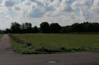 Grundstück zu kaufen in 56291 Lingerhahn, Traumgrundstück in Feldrandlage