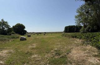 Grundstück zu kaufen in 16306 Casekow, 10.769 m² Natur pur – Bauland mit unverbaubarem Blick